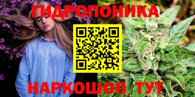 прущие грибы Свободный
